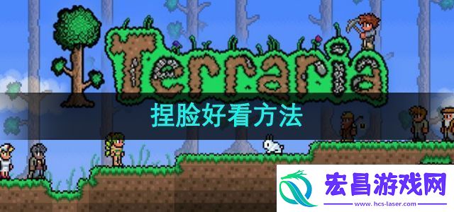 泰拉瑞亚怎么捏脸才能好看捏脸好看方法