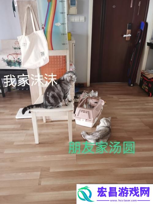 “串门偶得”