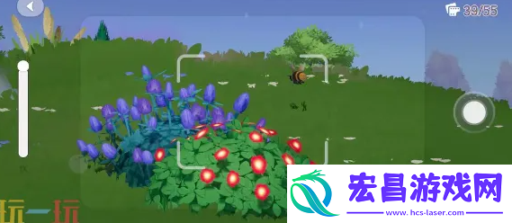 心动小镇熊蜂去哪抓