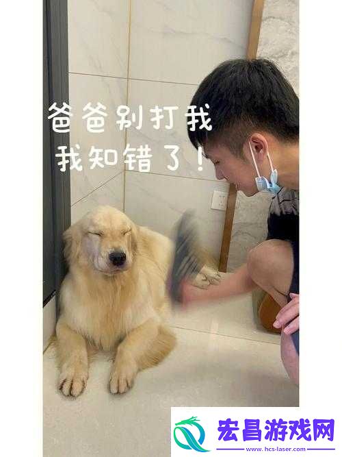主人错了