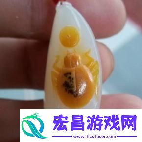 杨大壮和田桂花的公交车