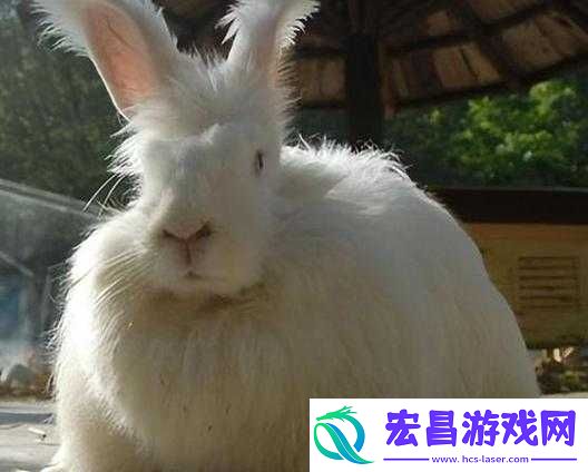 尺寸