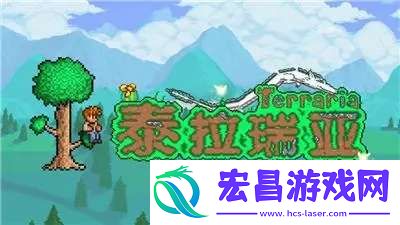 泰拉瑞亚猪龙彩罐怎么放置