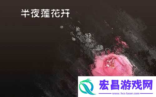 女人半夜莲花开