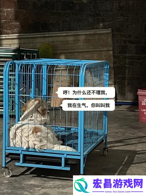 老牛嫩草一二三产品区别详解