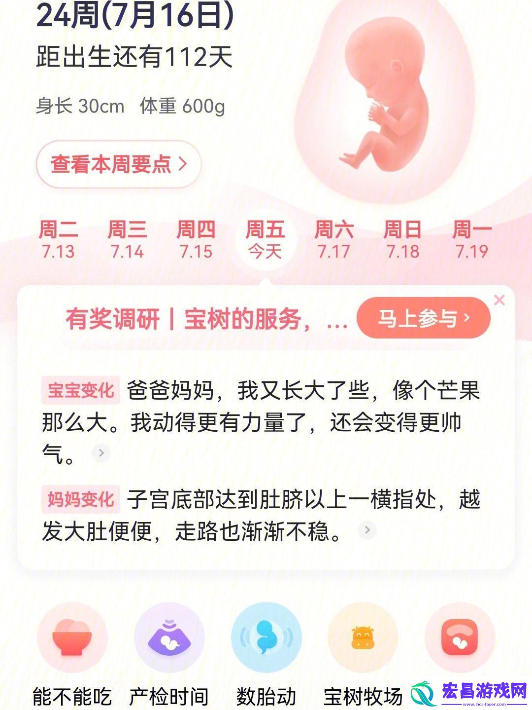 毛毛乐乐葆葆的另类成长手册