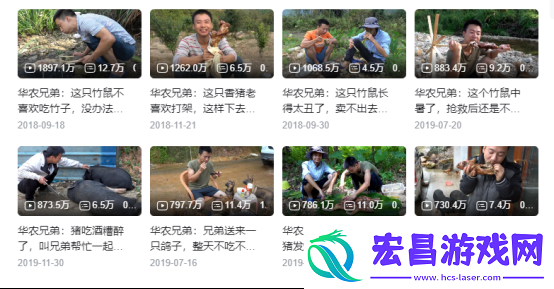怎么四年过去了