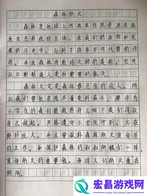 探索森林之火
