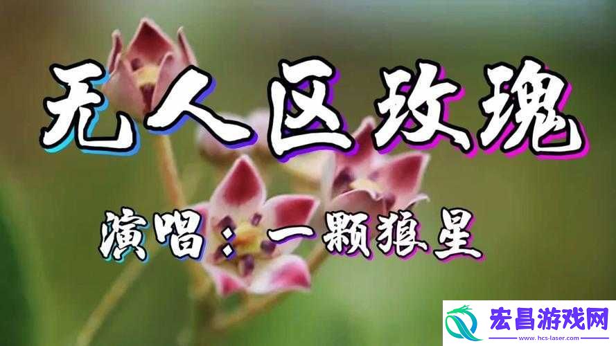 无人区玫瑰