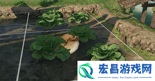 逆水寒手游