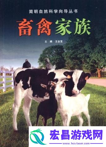 美畜奇缘