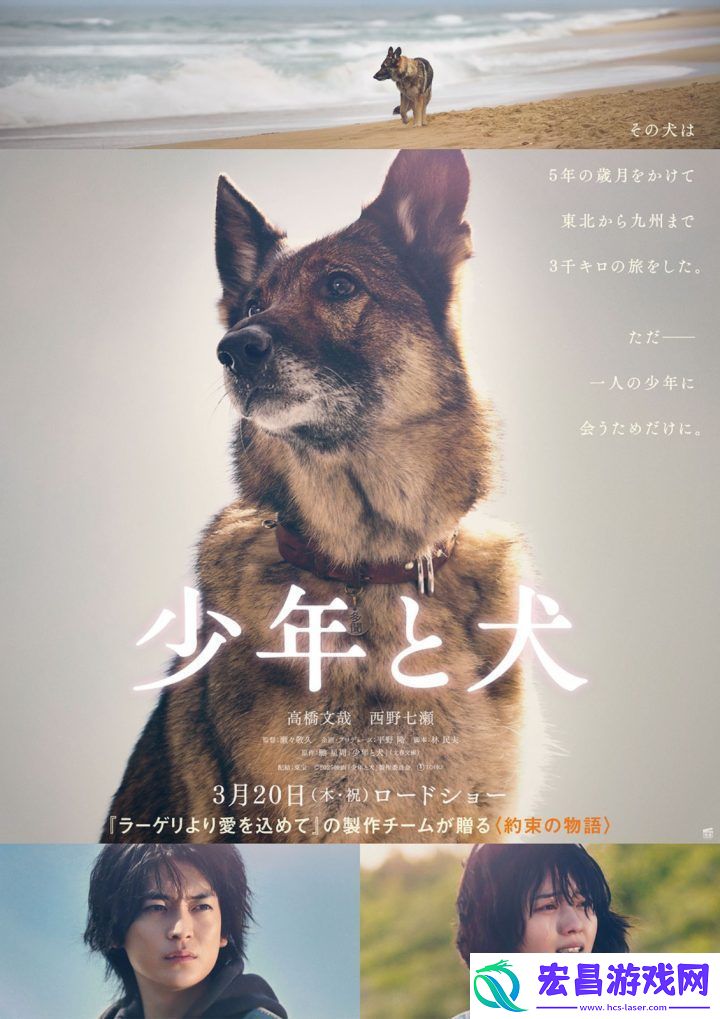 少年与犬预告首发