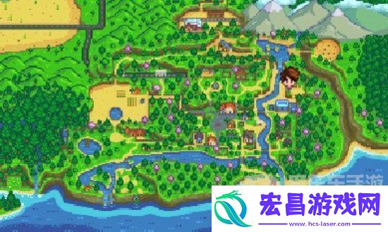 星露谷物语书摊老板在哪里