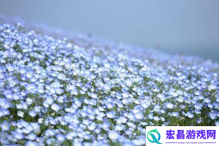 俄罗斯满天星在线观看免费高清