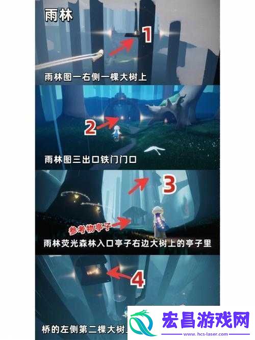 探寻光遇雨林中那些小树苗具体位置全攻略