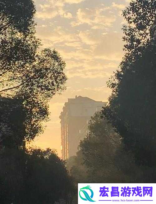 XX