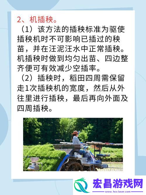 夫妻插秧38种方法图片大全
