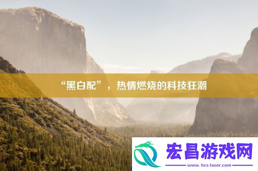 “黑白配”