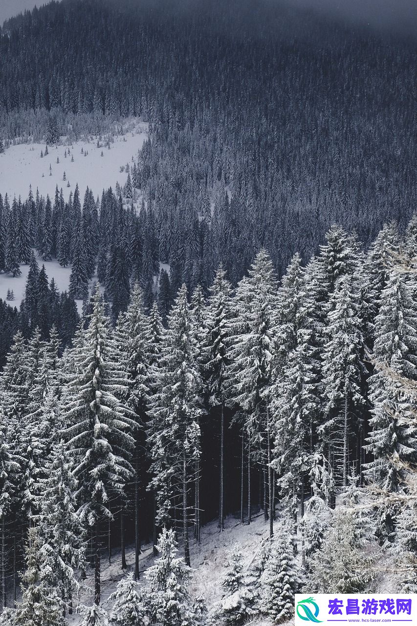 逆水寒雪河