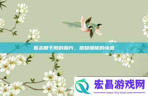 看志田千阳的照片