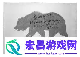北极熊身上的神秘涂鸦