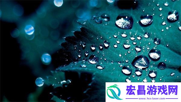 搭伙1V1栀子