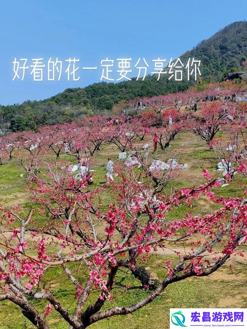 两瓣桃花千人品