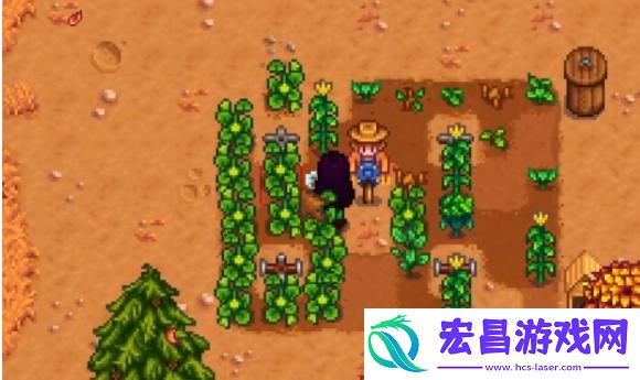 星露谷物语雕刻南瓜任务怎么过