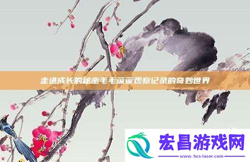 走进成长的秘密毛毛葆葆观察记录的奇妙世界