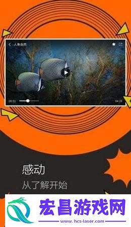 鱿鱼