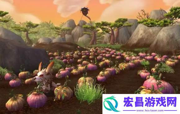 魔兽世界女巫浆果怎么获得