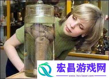 欧美**黄片