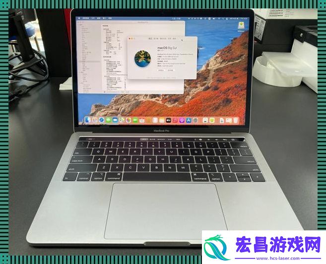 19岁MacBook