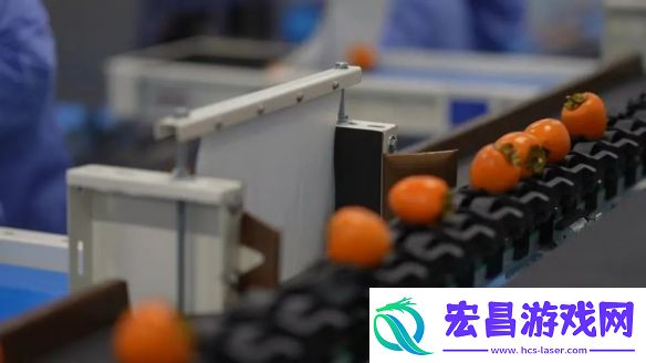 领跑榜单！中国三星十二年蝉联外企社会责任发展指数榜第一