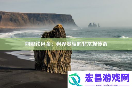 四眼铁包金