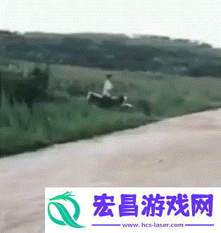 猴子来了都不知道先打哪一个动图教你怎么缓解尴尬