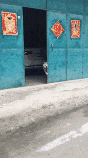 猴子来了都不知道先打哪一个动图教你怎么缓解尴尬