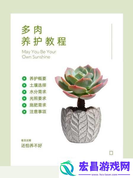 皇家共享小公主多肉养护技巧1.如何让你的多肉植物如皇家共享小公主般绚丽