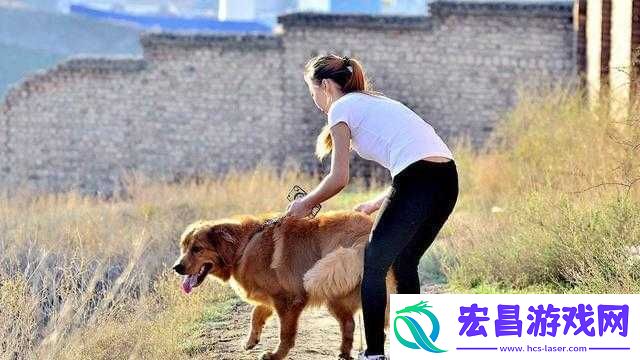 狗配人如何配的科学探讨