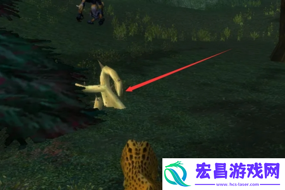 魔兽世界雨燕草如何获取