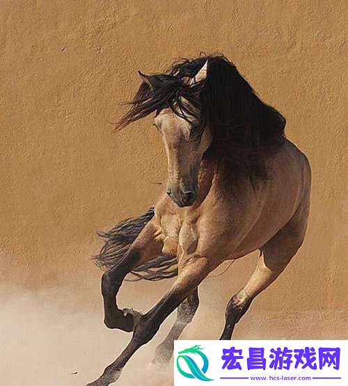 随着**奔跑而律动皇上