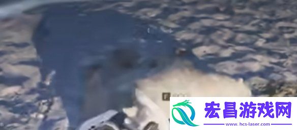 七日世界雪国人生动物在哪