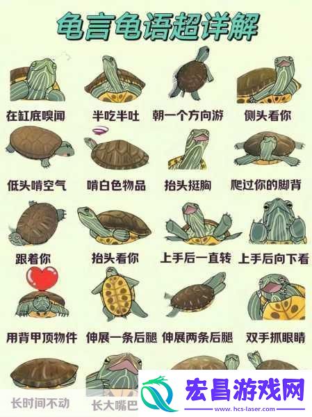 车辆颠簸后滑进去的应急措施