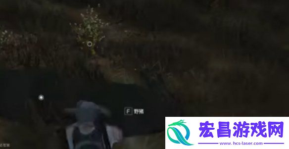 七日世界雪国人生动物在哪