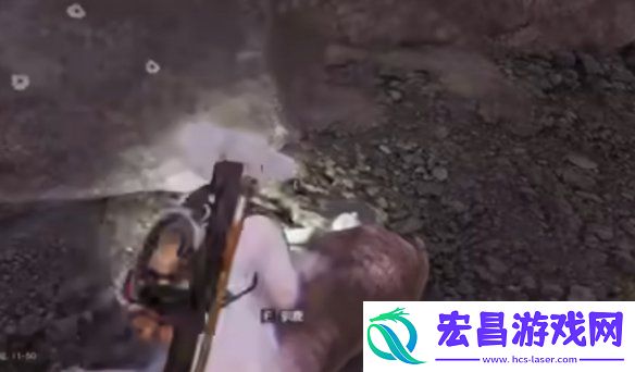 七日世界雪国人生动物在哪