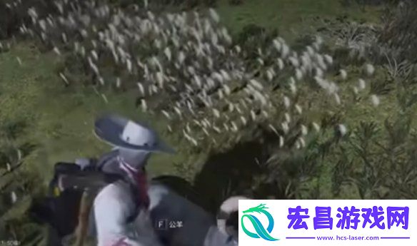七日世界雪国人生动物在哪
