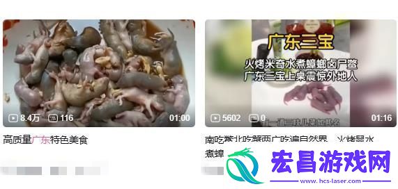 猎奇美食