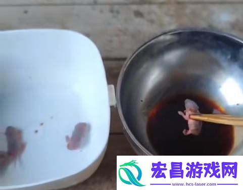 猎奇美食
