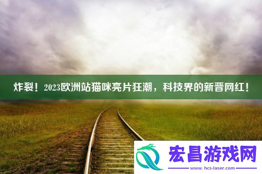 炸裂！2023欧洲站猫咪亮片狂潮科技界的新晋网红！