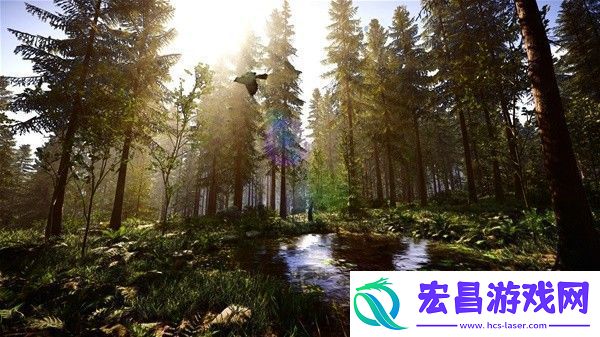 森林之子1.0正式版控制台代码有哪些